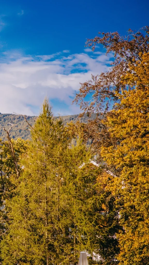 Jesienny krajobraz górski z kolorowymi drzewami i widokiem na szczyty, natura wokół hotelu w górach