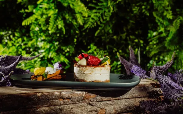 Restaurant dessert with fruits in a natural setting